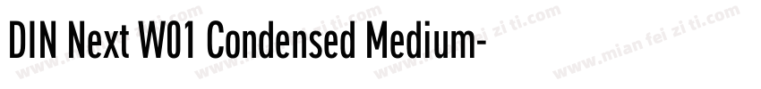 DIN Next W01 Condensed Medium字体转换